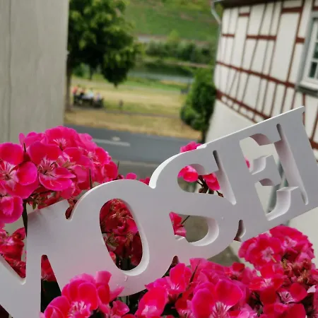 Pensionat Andrea Blatt