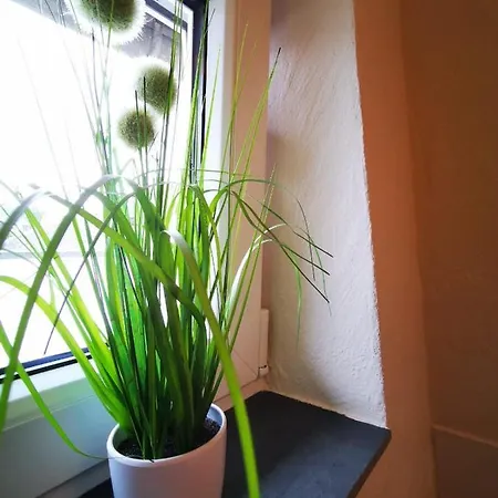 Andrea Blatt 3* Bruttig-Fankel