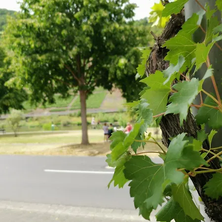 Andrea Blatt Pensionat Bruttig-Fankel