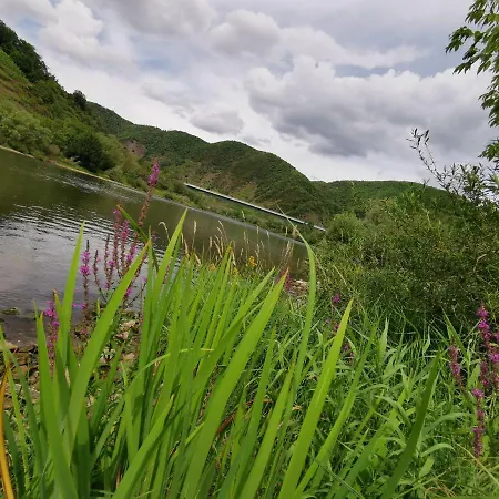 Gaestehaus Andrea Blatt Affittacamere 3*