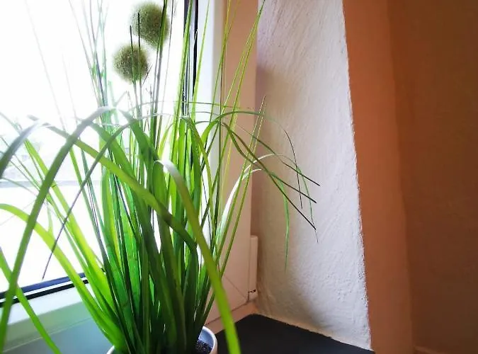 Gaestehaus Andrea Blatt 3* Bruttig-Fankel