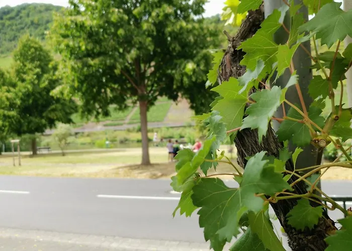 Gaestehaus Andrea Blatt Guest house Bruttig-Fankel