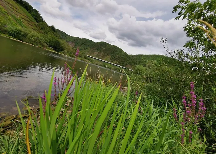 Gaestehaus Andrea Blatt Guest house 3*