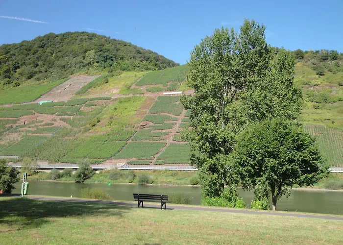 Casa de hóspedes Gaestehaus Andrea Blatt 3*