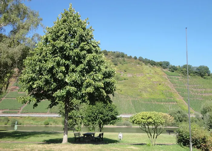 Gaestehaus Andrea Blatt Casa de hóspedes